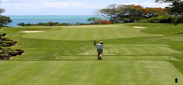 man playing golf in green landscape